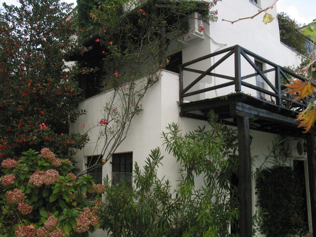 Villa Georgie Tsagkarada Exterior foto